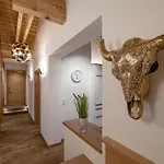 Apartmán Alma Mayrhofen