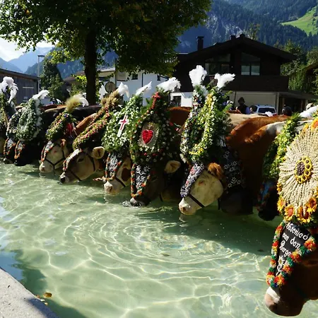 Apartament Alma Mayrhofen